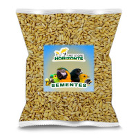 Arroz Cateto - 500g