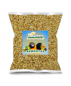 Arroz Cateto - 500g